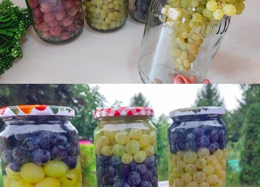 REZEPT, DER ALLE VERRÜCKT MACHT: Wie man Weintrauben im Glas konserviert, damit sie nicht verderben und der Geschmack unverändert bleibt