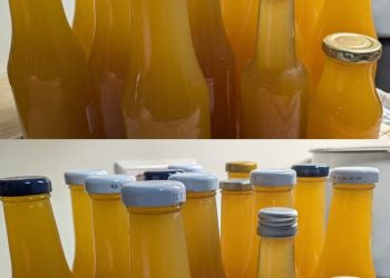 Ingwersirup selber machen