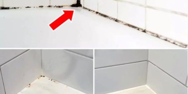 Silikonfugen von Schimmel befreien: So funktioniert’s