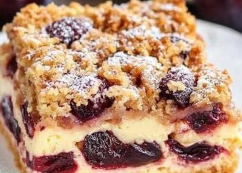 Pflaumenkuchen mit 500 g Magerquark mit Suchtfaktor