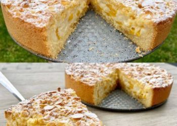 Ich habe noch nie so einen leckeren Kuchen gegessen, Paradies Sahnekuchen