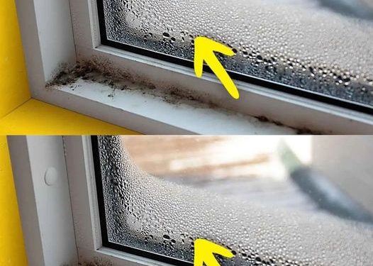 Wie entferne ich Feuchtigkeit aus dem Haus? 7 einfache Tricks