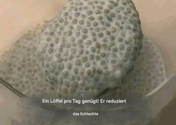 Ein einziger Löffel täglich genügt! Er senkt das schlechte Cholesterin, reinigt die Arterien, reguliert den Blutzuckerspiegel und zügelt sogar den Appetit.