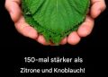 150-mal stärker als Zitrone und Knoblauch!