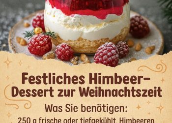 Festliche Himbeer-Dessert zur Weihnachtszeit ist fruchtig ein strahlender Genuss für jede Weihnachtstafe
