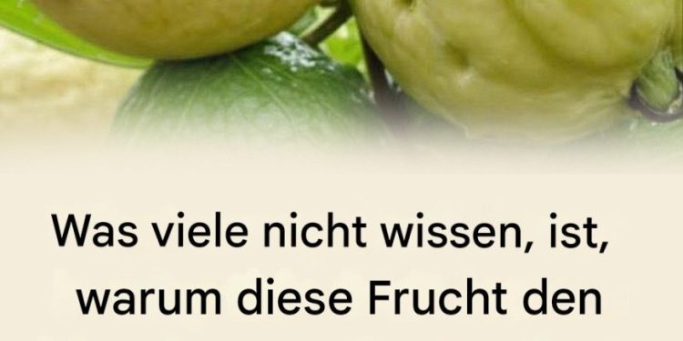 Entdecke die Kraft dieser wundersamen Frucht.