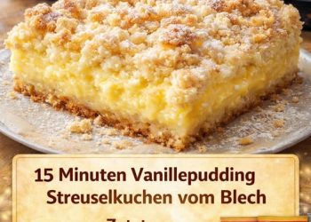 Blitz 15 Minuten Vanillepudding Streuselkuchen vom Blech