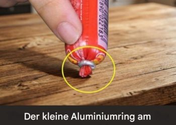 Der kleine Aluminiumring am Wurstriegel verbirgt eine unerwartete Verwendung, die nur sehr wenige Menschen kannten.