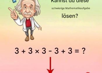 Kannst du diese Matheaufgabe lösen?