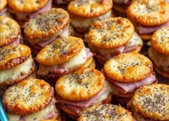 RITZ CRACKER PARTY-SANDWICHES