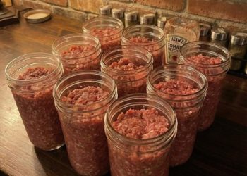 Eine anfängerfreundliche Anleitung zum Einkochen von hausgemachtem Hackbraten im Schnellkochtopf