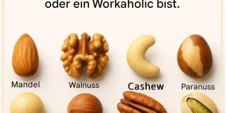 Wähle eine Nuss, um herauszufinden, ob du faul oder ein Workaholic bist