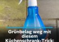 Grünbelag weg mit diesem Küchenschrank-Trick: Das gießt du auf deine Terrasse (nie gewusst!)