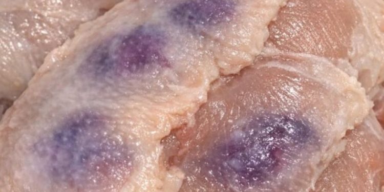 Ich habe eine aufgetaute Hähnchenbrust mit violetten Flecken unter der Haut entdeckt. Kann sie noch weiterverarbeitet oder entsorgt werden