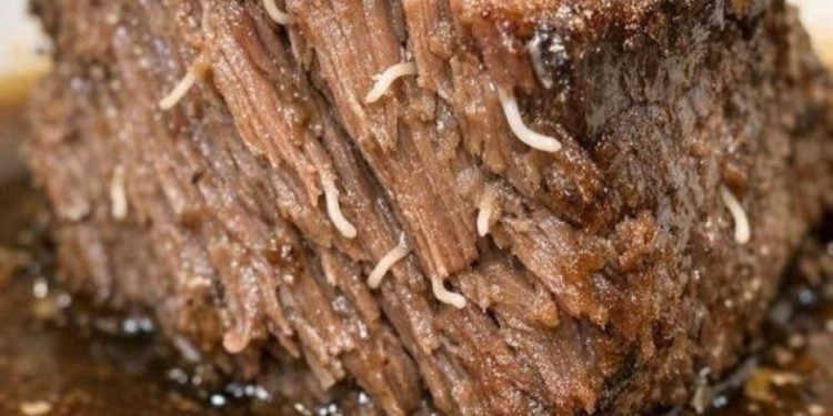 Ich holte meinen Rinderbraten aus dem Slow Cooker und sah diese seltsamen weißen, strähnigen Dinger aus dem Fleisch ragen