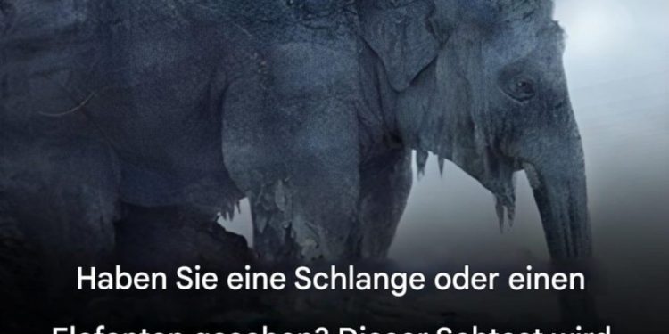 Was haben Sie auf den ersten Blick gesehen