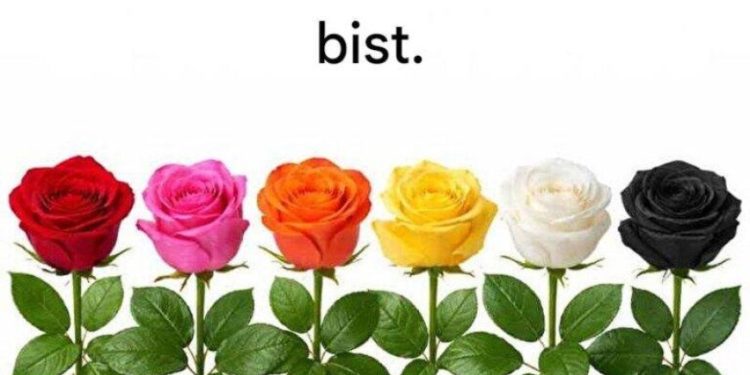 Wähle eine Rose und verrate, was für eine Frau du bist.