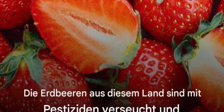 Die Erdbeeren aus diesem Land sollte man unbedingt meiden