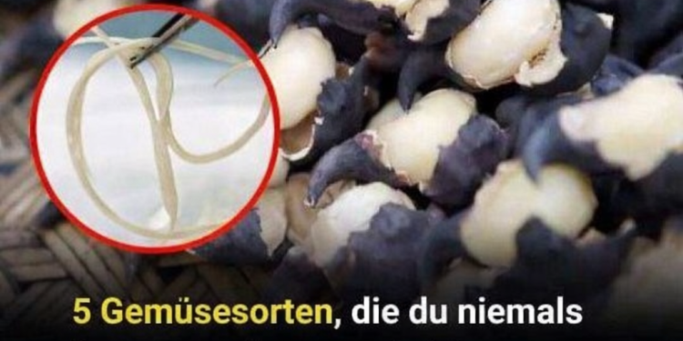 5 Gemüsesorten, die du niemals roh essen solltest – sie können Wurmnester enthalten, die sich in deinem Magen zu Parasiten entwickeln können