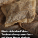Erstaunliche Möglichkeiten, deine alten Teebeutel wiederzuverwenden