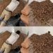 Ein Mann bemerkt einen starken Geruch in seinem Haus – als er der Ursache nachgeht und die Wand öffnet, macht er eine schockierende Entdeckung!