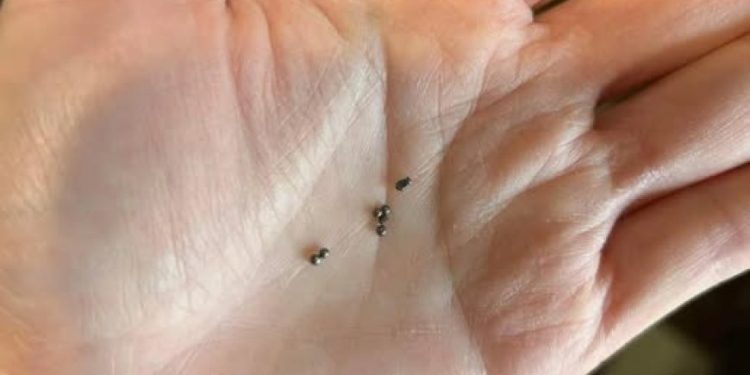 Haben Sie Metallkugeln unter Ihrer Küchenspüle gefunden? Hier ist, was sie bedeuten.