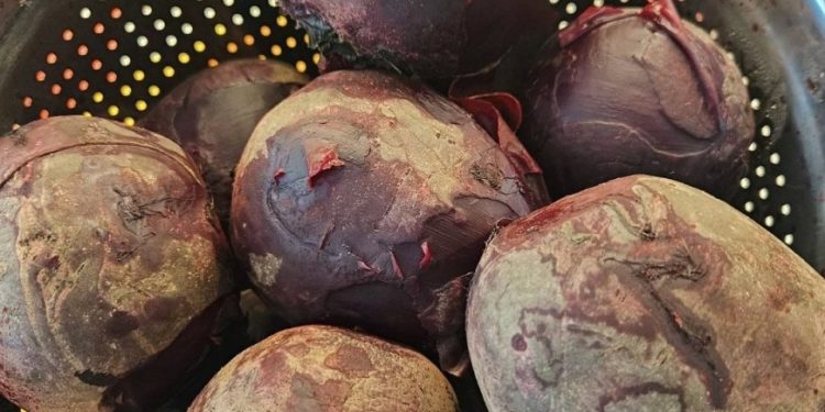 Ärzte enthüllen, dass der Verzehr von Roter Bete verursacht …