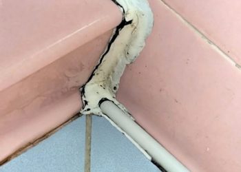 Diese ungewöhnliche Entdeckung im Badezimmer ließ uns genauer hinschauen