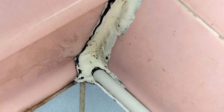 Diese ungewöhnliche Entdeckung im Badezimmer ließ uns genauer hinschauen
