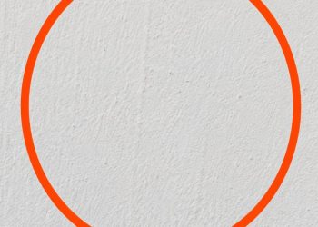 Ich schaltete das Garagenlicht an – und entdeckte dieses ungewöhnliche Wesen an der Wand