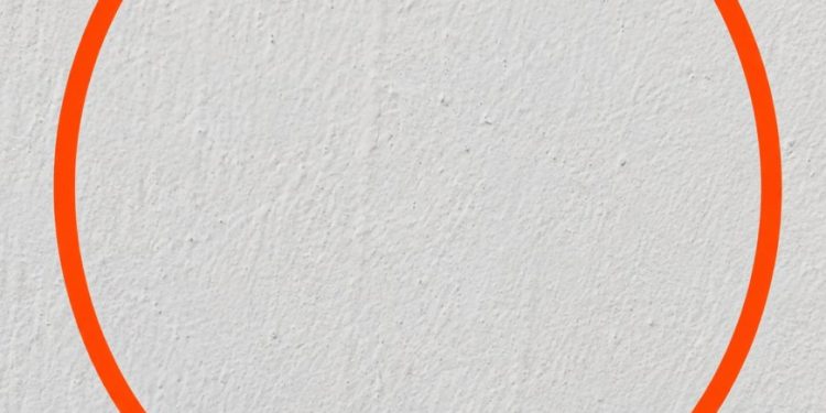 Ich schaltete das Garagenlicht an – und entdeckte dieses ungewöhnliche Wesen an der Wand
