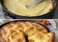 Aprikosenkuchen mit Eier-Sahne-Haube