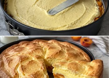 Aprikosenkuchen mit Eier-Sahne-Haube