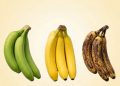 Welche Banane ist eigentlich die gesündeste?