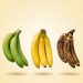 Welche Banane ist eigentlich die gesündeste?