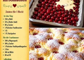 Quark Kirschkuchen in 5 Minuten