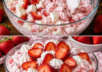 Nehmen Sie Erdbeeren und 450 g Naturjogurt, Erdbeerwolke!