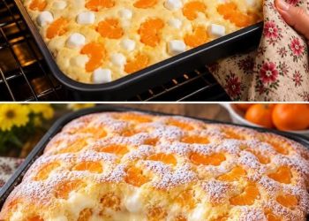 Mandarinen Schmandkuchen vom Blech in 4 Minuten