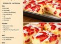 Erdbeer Vanillekuchen boahh ist der leckeer!