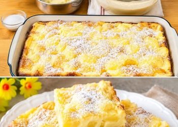 Apfel Puddingkuchen einfach Fantastisch!
