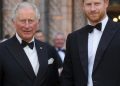 Nach vielen Jahren taucht eine überraschende Frage rund um König Charles und Prinz Harry wieder auf