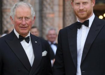Nach vielen Jahren taucht eine überraschende Frage rund um König Charles und Prinz Harry wieder auf