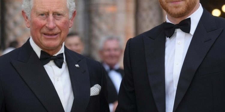 Nach vielen Jahren taucht eine überraschende Frage rund um König Charles und Prinz Harry wieder auf