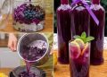 Dieses tiefviolette Getränk aus Rotkohl und Blaubeeren begeistert mit seiner besonderen Farbe