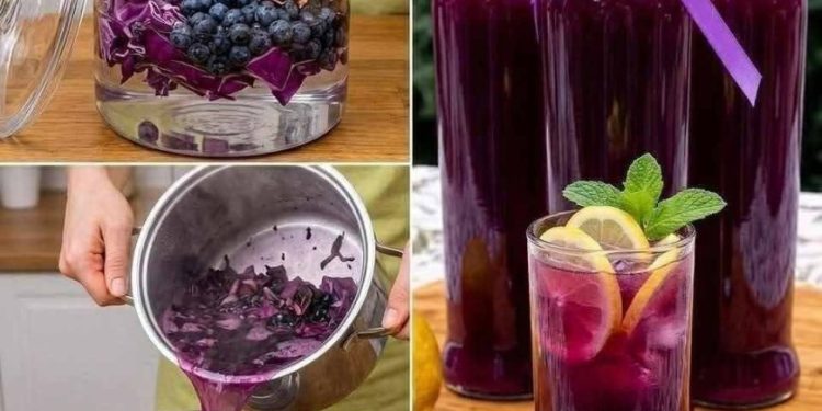 Dieses tiefviolette Getränk aus Rotkohl und Blaubeeren begeistert mit seiner besonderen Farbe