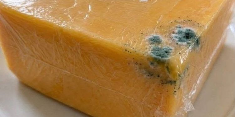 Grüner Fleck auf Cheddar-Käse