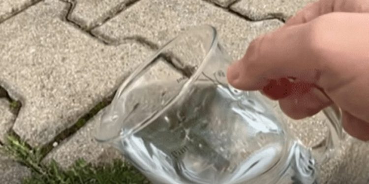 Gießen Sie diese Mischung über Ihre Pflastersteine.