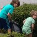 Die Kinder von nebenan verbrachten jeden Sonntag damit, unsere Nachbarschaft zu säubern – dann bemerkte ich, was sie eigentlich taten.